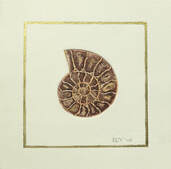 Fossil collagraph print with gold border by artist Diane Young